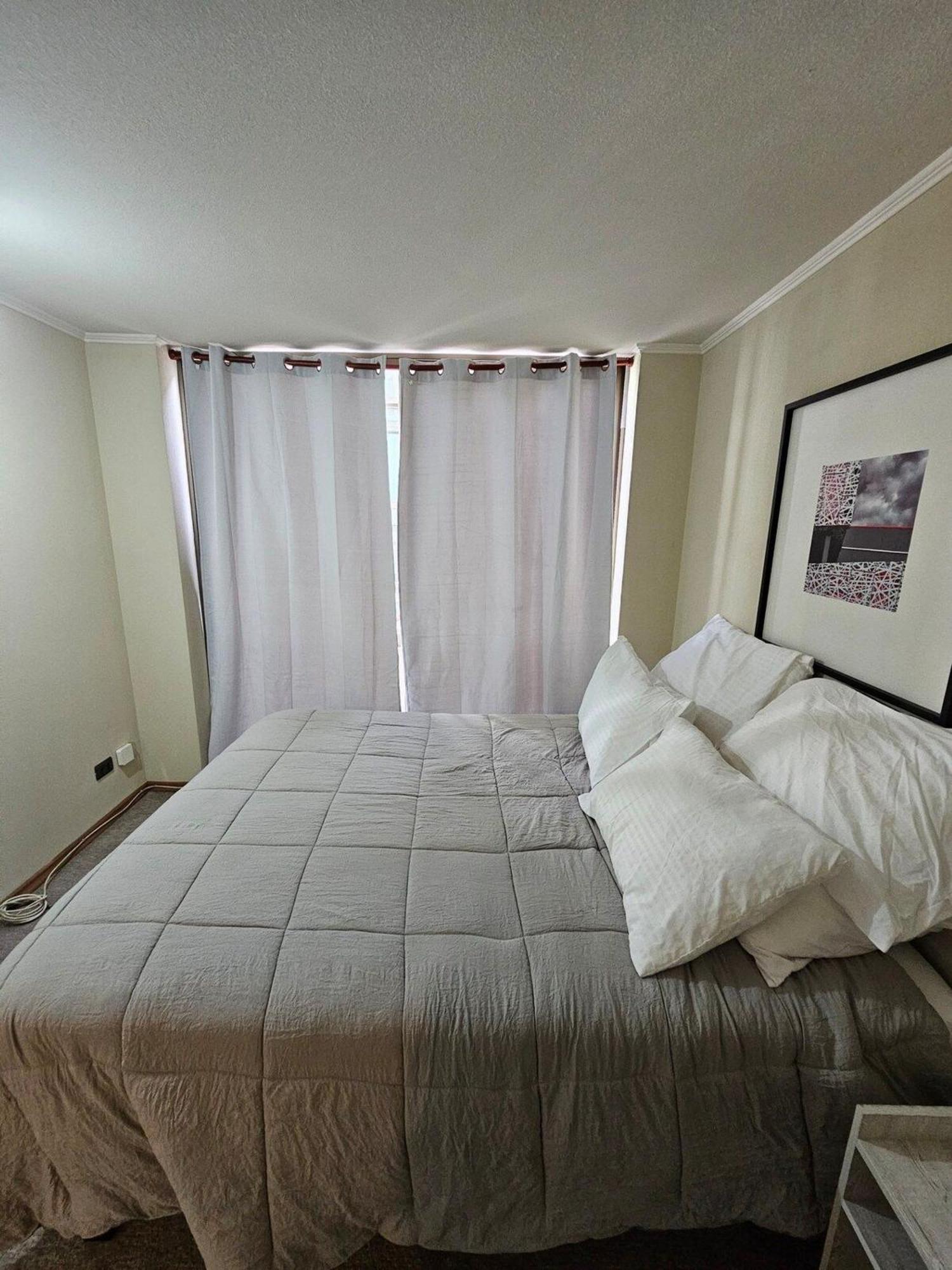 Bellavista Apartrent Santiago Buitenkant foto