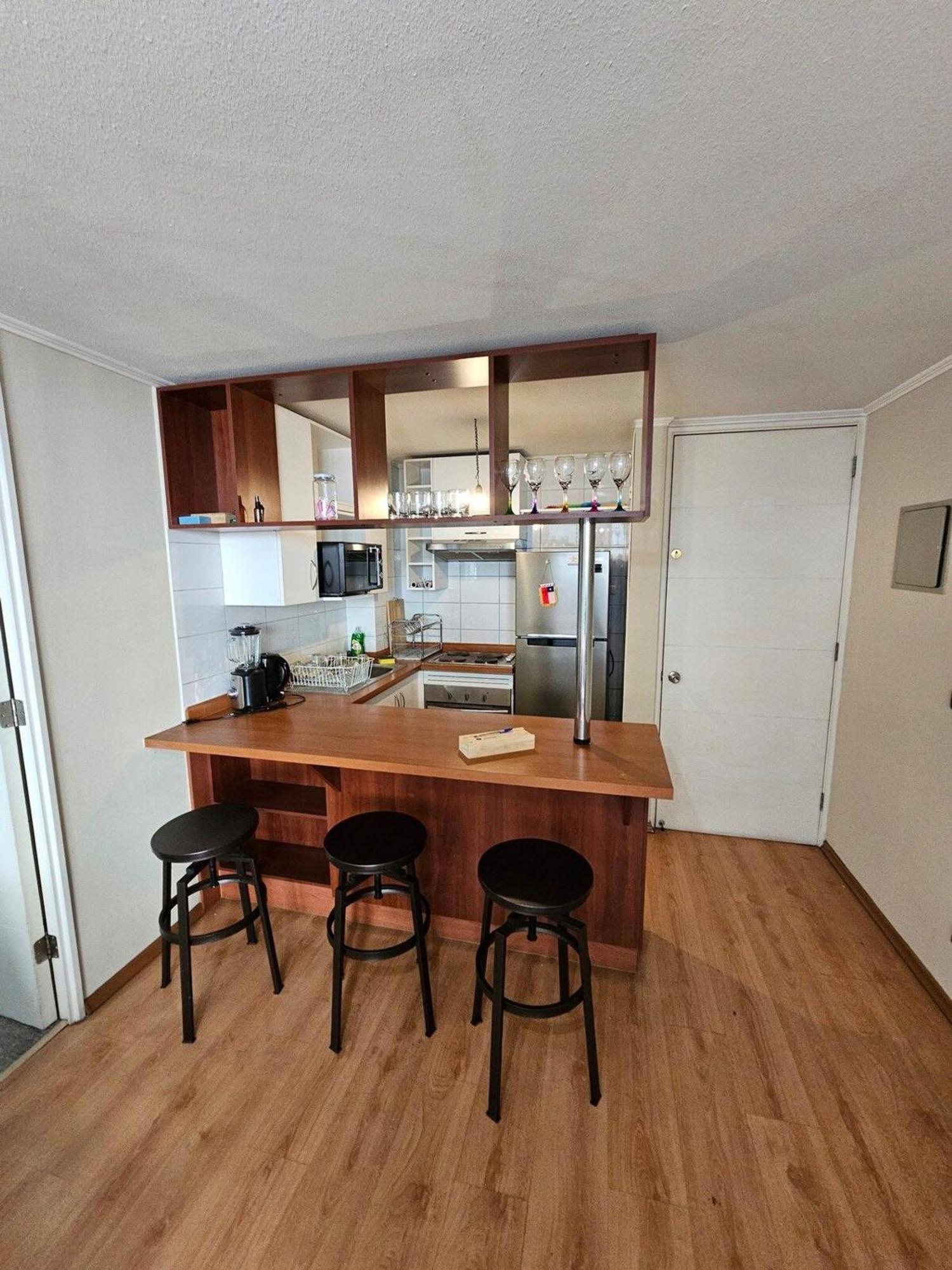 Bellavista Apartrent Santiago Buitenkant foto