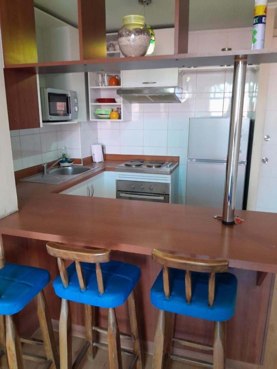 Bellavista Apartrent Santiago Buitenkant foto